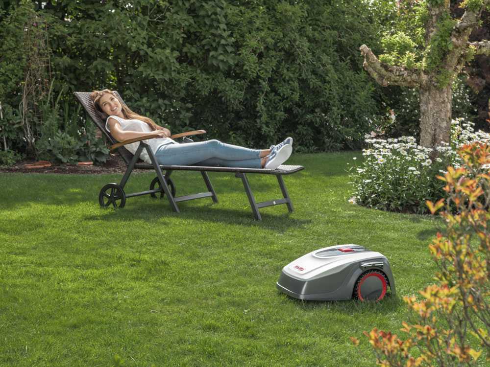 Robot tosa erba in giardino.